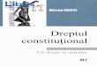 Dreptul - cdn4. constitutional - Mircea  ¢  notiunea de izvor al dreptului acoperd forma concretd