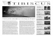 Anul XI TIBISCUS · unui proiect grandios, care implicã forþe intelectuale din întreaga þarã ºi care este coordonat de vicepreºedintele Asociaþiei Române de Istorie a Presei,