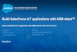 Build SalesForce IoT applications with ARM mbed™ · * Introduction to the MBED online developer environment * Initial setup of device and developer environment * Compile and connect