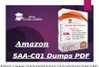 Amazon SAA-C01 Dumps Questions - Amazon SAA-C01 Test Engine Dumps