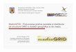 MedioGRID - Prelucrarea grafica paralela si distribuita pe ...cgis.utcluj.ro/gorgan/res/publ/papers/MedioGrid-Infosoc2006.pdf · Dezvoltarea unei structuri GRID care sa permita prelucrarea
