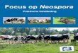 Focus op Neospora - dgz.be · Voorwoord Beste veehouder, Beste dierenarts, Neospora caninum is een parasiet die wereldwijd voorkomt. Neospora is vooral gekend als belangrijke oorzaak