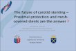 The future of carotid stenting Proximal protection and ... · The future of carotid stenting – Proximal protection and mesh-covered stents are the answer ? TECHNICAL FORUM Management