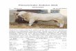 Fleischrinder Auktion 2019 - rinderallianz.de · 4. AHA CHAP PP* DE 15 013 35996 AHA CHAP (KMU Columbus x Cabar), ein sehr korrekter, homozygot gezogener Jungbulle aus interessanten