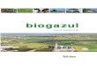BIOGAZUL-Ghid practic FINAL - big-east.eu National Handbooks/BiG-East... · promova dezvoltarea tehnologiilor bayate pe digestia anaeroba a biomasei în Europa de Est. Proiectul BiG>East