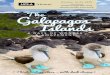 8 DAYS OF WONDER & AMAZEMENT - travel.alumni.ucla.edu · Free Expedition Library The Galapagos Islands AN EARLY RESERVATION BONUS Reserve your space by February 15, 2019 to receive