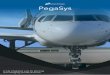 PegaSys - constrainttec.com · • Passenger flow model can be used to evaluate the predicted loads. • Schedule and Flight profitability are calculated; data dependent. • Plans