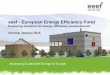 eeef - European Energy Efficiency Fund - marteproject.eu M.Benz-FEM_15 01 2016... · Advancing Sustainable Energy for Europe eeef - European Energy Efficiency Fund Financing solutions