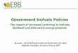 Government biofuels Policies - s3.amazonaws.com · Government biofuels Policies The impact of increased switching to biofuels, biodiesel and alternative energy products Brussels –