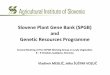 Slovene Plant Gene Bank (SPGB) and Genetic Resources Programmearchive-ecpgr.cgiar.org/fileadmin/ · Slovene Plant Gene Bank (SPGB) and Genetic Resources Programme Second Meeting of