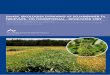 Dansk, økologisk Dyrkning af sojabønner til føDevare- og ...pure.au.dk/portal/files/4467175/ir_25_markbrug_50439_rapport.pdf · C) Undersøgelse af råvarekvalitet og eksperimenter