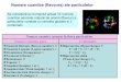 Numere cuantice (flavours) ale particulelor - blog.jorjette.ro · Numere cuantice (flavours) ale particulelor Se considerăla momentul actual 10 numere cuantice asociate noţiunii