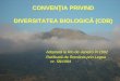 CONVENŢIA PRIVIND DIVERSITATEA BIOLOGICĂ (CDB)ecoportal.ro/dan_cogalniceanu/file_download/2/cbd.pdf · Biodiversitatea include o multitudine de componente dintr-un domeniu spaţio-temporal