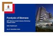 Pyrolysis of Biomass - wasteroadmap.co.za · Pyrolysis of Biomass DST Science-meets-Industry Workshop: Organic waste Mike Heydenrych 26-27 November 2014