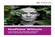 NeoPlanta Withania - personal-care.evonik.com · The future of renewed beauty lies in ancient secrets from times long past. Withania Somnifera unfolds its effects for thousands of