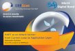 S4x14 Digital Bond - Компания Digital Security fileERPScan Inc. Leading SAP AG partner in discovering and solving security vulnerabilities by the number of found vulnerabilities