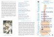 Concerto del chitarrista Ivan SEMENZATO Concerto del ...digidownload.libero.it/brunotonazzi/testi/programma_ivan_semenzato.pdf · Johann Sebastian BACH (1685-1750) Ciaccona (trascrizione
