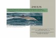Annual Report of a Comprehensive Assessment of Marine ... · 2 . 2015 Annual Report to . A Comprehensive Assessment of Marine Mammal, Marine Turtle, and Seabird Abundance and Spatial