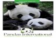 PANDA PRESS - Pandas International · 4 Change in Giant Panda Status from “Endangered” to “Vulnerable” Many of you have questioned the change in status of the Giant Pandas
