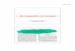 Microangiopathiesnon classiques - cuen.fr · 07/07/2019 6 Étiologie & physiopathologie des MAT Anomalies congénitales Autres anomalies Lésion de la cellule endothéliale Perte
