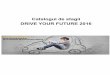 Catalogul de stagii DRIVE YOUR FUTURE 2016 - ucv.ro · Analiza comparativa piese Chassis Profilul candidatului Student/masterand la Specializarea Inginerie mecanica/ Inginerie economica