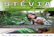 STÉVIA - publiceye.ch · Le département d’agronomie travaille depuis 1992 sous la super- vision du professeur Jungbluth sur une nouvelle culture de l’espèce végétale Stevia