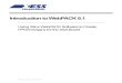 Introduction to WebPACK 8 - Department of Physics ise manuals... · Introduction to WebPACK 8.1 – XSA 11 XESS Corporation - ©2006 by XESS Corp. project, the location of your project