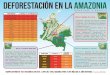 deforestación en la amazonia · proyectos para la reducciÓn de deforestaciÓn y conservaciÓn Este programa busca dar respuesta a la tasa de deforestación actual, la cual pone
