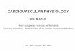 FIZIOLOGIA SISTEMULUI CARDIOVASCULAR 5_CV_2019_updated.pdf · Comparison of the dynamics of the left and right ventricles The heart: a system of 2 pumps linked in series. The muscular