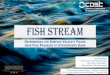 FISH STREAM - invaznirostliny.ibot.cas.czinvaznirostliny.ibot.cas.cz/wp-content/uploads/2019/03/07_Strelnikova...FISH STREAM DETERMINING THE SURFACE VELOCITY FIELDS NEAR FISH PASSAGES