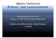 Alpine Gefahren Schnee- und Lawinenkunde · Inhalte Sicherheitsausrüstung Alpine Gefahren Schneekunde Wettergeschehen & Lawinengefahren Lawinenkunde Lawinenwarndienst und Lawinenlagebericht