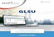 GLSU Financials Spreadsheet and errors in journal entries, saving time and improving accuracy. It also