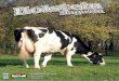 Holstein 2010 1.qxd 2/18/10 5:10 PM Page 1 Holstein Magazin · 5 2015/1 új tejhasznú telepek, nehezen tudunk szállítani tenyészállatokat ebbe a térségbe. Némi élénkülés