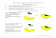 Mechanismus der Enzymkatalyse - theunderground.attheunderground.at/Matura/BiCPChMatura/BiC/Enzymkatalyse-Handout.pdf · ☯ In gleicher Weise wird das Enzym deformiert („Induced