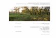 Bebauungsplan 12-58 ‚Biedenkopfer Straße ... · Bebauungsplan 12-58 ‚Biedenkopfer Straße‘ Bestandserfassung und Bewertung der Bäume und flächige Biotope Zusammenfassende