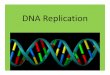 DNA Replication notes - behsscience.com Replication notes.pdf · DNA replication •What does it mean? –DNA is copied •One double helix become two double helicies