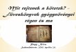 Mit rejt a papirosok? - Füveskönyvek gyógynövényei régen ... tetek-füveskönyvek... · PDF fileHammurabi király könyve (i. e. 1770 körül) - mák, nadragulya, szenna -