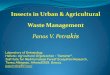 Panos V. Petr akis - UESTuest.ntua.gr/tinos2015/proceedings/pdfs/Petrakis_pres.pdf · Insects in Urban & Agricultural Waste Management. Panos V. Petr. akis. Laboratory of Entomology,