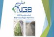 NG Biyoteknoloji Microbial AlgeaRemover · Microbial Algae Remover Trials Mersin Irrigation Union, 2017 Irrigation canal treated with copper sulfate through the season Irrigation