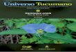 Universo Tucumano 05 - Commelina erecta (Bulacio)lillo.org.ar/revis/universo-tucumano/2018/2018-ut-v05.pdf · Es común encontrarla en banquinas, vías del ferrocarril, en los jardines