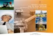 Saint-Gobain Oil & Gas Group · refractory shapes for catalytic steam reformers, including domes, hexagonal target tiles, alumina lumps and castables. In addition, Saint-Gobain offers