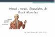 Head , neck, Shoulder, & Back Muscles - medicinebau.com · 2 Muscles of the Head and Neck Scalp Muscle: epicranius frontal belly occipital belly gala aponeurotica Muscles of Facial