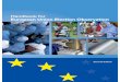 Handbook for European Union Election Observationeeas.europa.eu/archives/docs/eueom/pdf/handbook-eueom-en-2nd-edition_en.pdf · This second edition of the Handbook for European Union