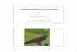 Vadászati állattan és etológia - vmi.info.huvmi.info.hu/tananyagok/tananyag/vadaszati_allattan/madar/madarrdszt_02... · PDF file1 Vadászati állattan és etológia 2. Ragadozómadarak