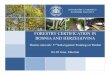 FORESTRY CERTIFICATION IN BOSNIA AND HERZEGOVINA 6.pdf · FORESTRY CERTIFICATION IN BOSNIA AND HERZEGOVINA Themis network: 3rd Sub-regional Training on Timber 02-03 June, Jahorina
