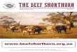 THE BEEF SHORTHORN · the beef shorthorn official newsletter of the beef shorthorn society of australia home of the australian shorthorn  august 2017