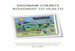 SAGINAW COUNTY ROADMAP TO HEALTH · Saginaw County Community Health Needs Assessment and Health Improvement Plan 2017 – 2020 An Initiative of Alignment Saginaw Community Health