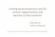 social protection and TB control: opportunities and ...tbsymposium.lshtm.ac.uk/files/2012/02/Debora-Pedrazzoli1.pdf · Linking social protection and TB control: opportunities and