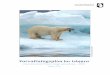 Forvaltningsplan - naalakkersuisut.gl/media/Nanoq/Files/Hearings/2018/Hoering... · 1 Indledning I grønlandske myter har isbjørnen været et symbol på kraft, styrke, rådsnarhed