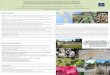 Phytophthora ramorum at NORS-DUC, the National Ornamentals ... · Research on the quarantine pathogen Phytophthora ramorum at NORS-DUC, the National Ornamentals Research Site at Dominican